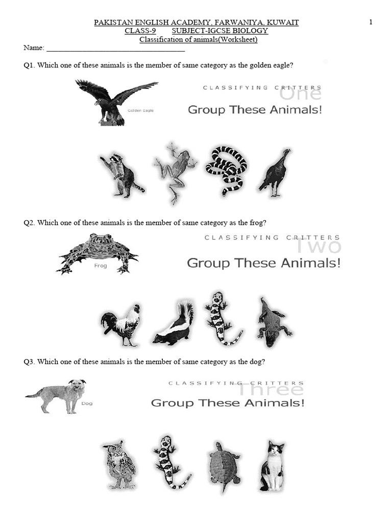 Edited - Classification Worksheet 1 | PDF