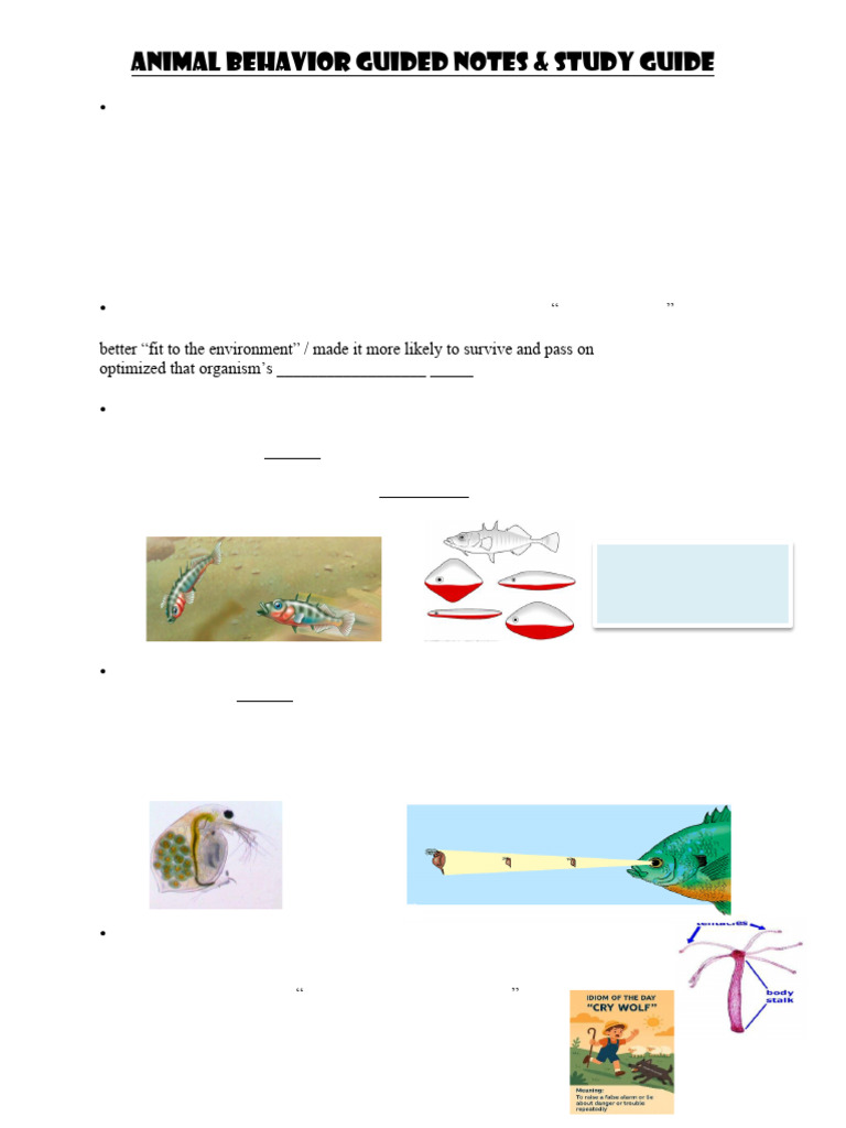Animal+Behavior+Notes | PDF | Classical Conditioning | Learning