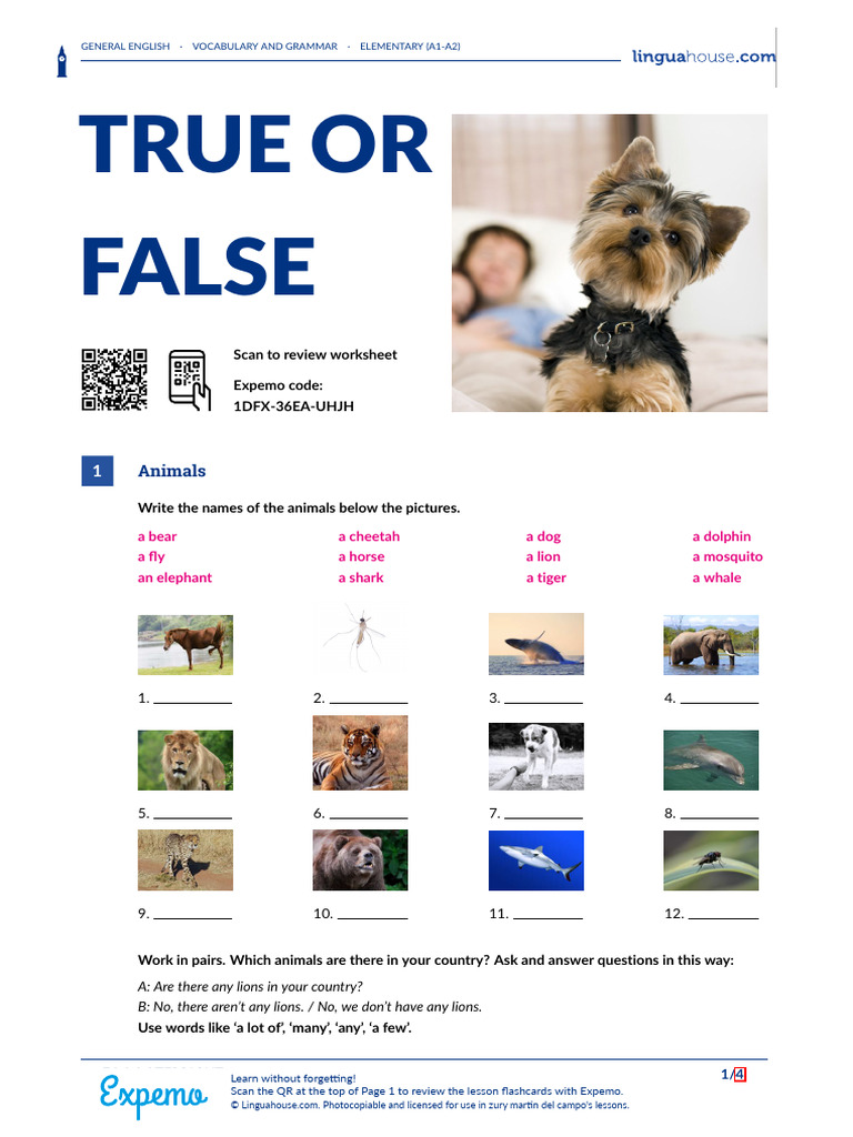 true-or-false-british-english-student | PDF | Consonant | Syllable