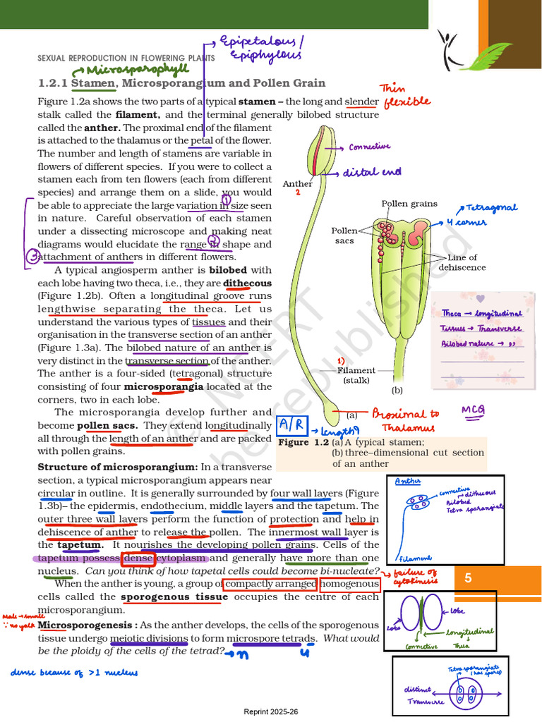 Biology 12th | PDF | Branches Of Botany | Reproduction