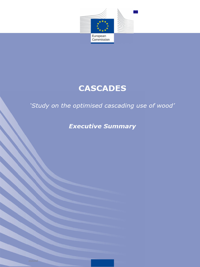 Cascade Study Executive Summary en 2 June | PDF | Bioenergy | Power ...