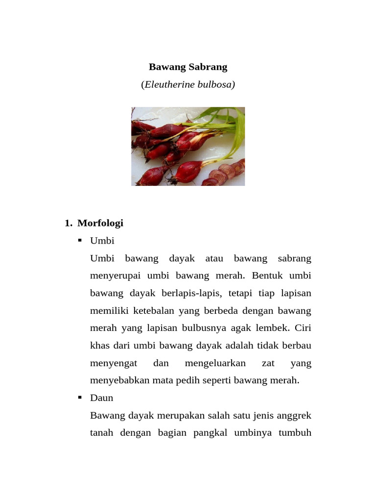BAWANG SABRANG | PDF