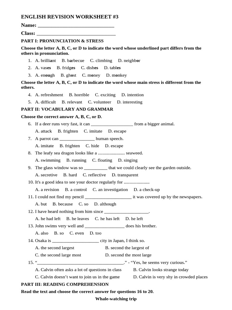English Revision Worksheet | PDF | Dolphin | Camouflage