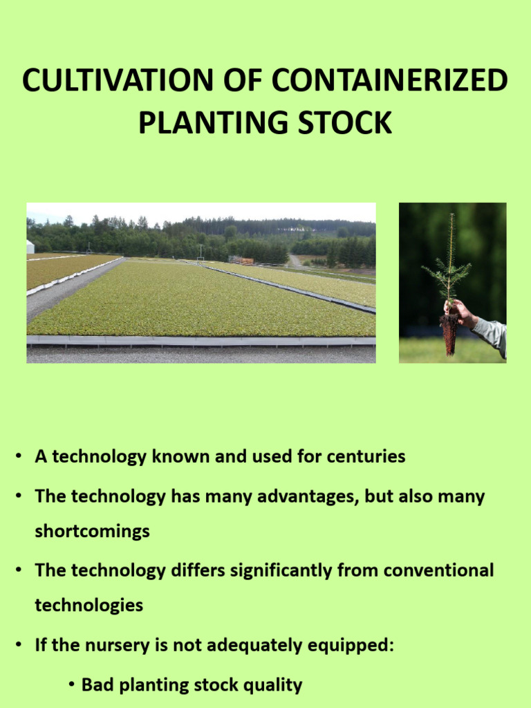 Cultivation of Containerized Planting Stock | PDF | Sowing | Plant Nursery
