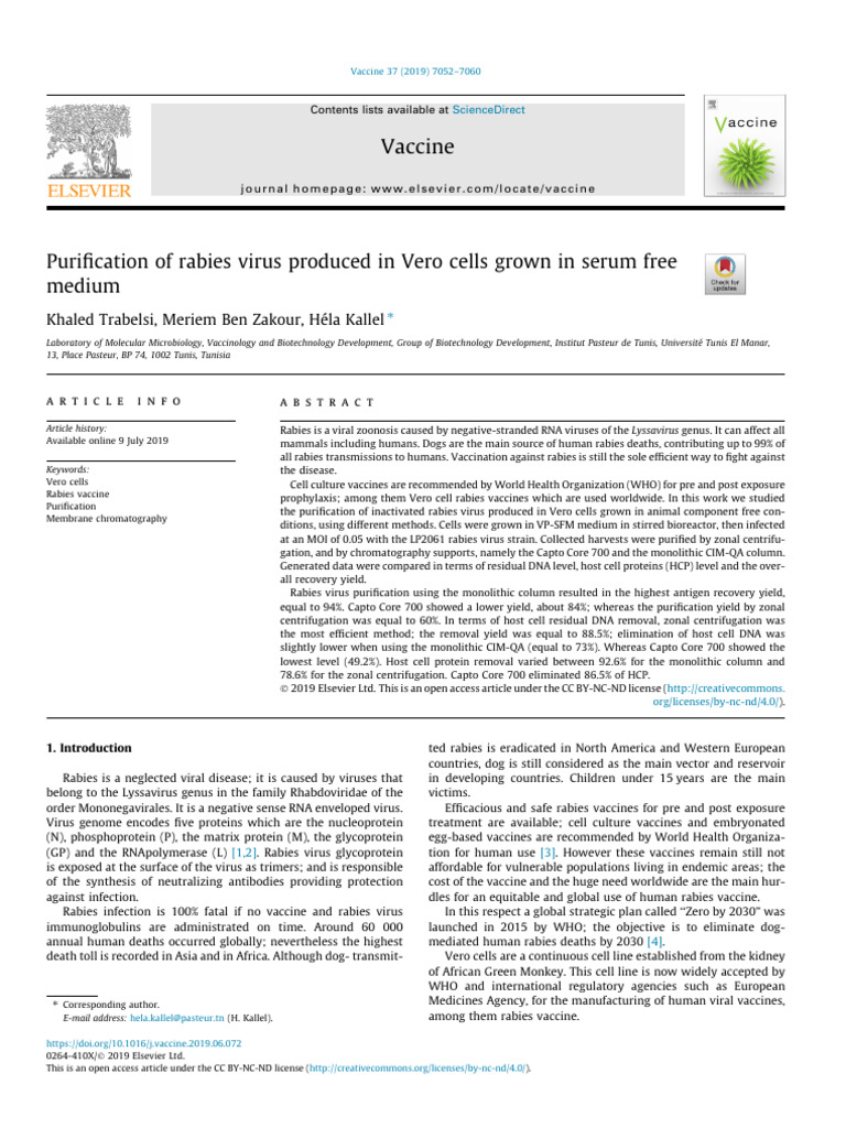 Purification of Rabies Virus Produced in Vero Cells Grown in Serum Free ...