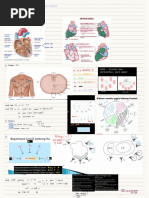 J-Point and STEMI Criteria Explained | PDF | Electrocardiography ...