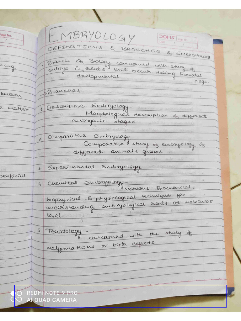 Embryology Notes (1) | PDF