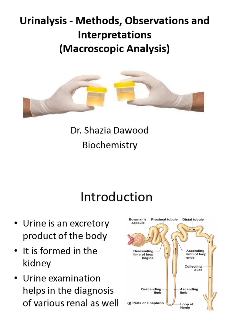 Biochemistry of Urine analysis | PDF | Urine | Urea