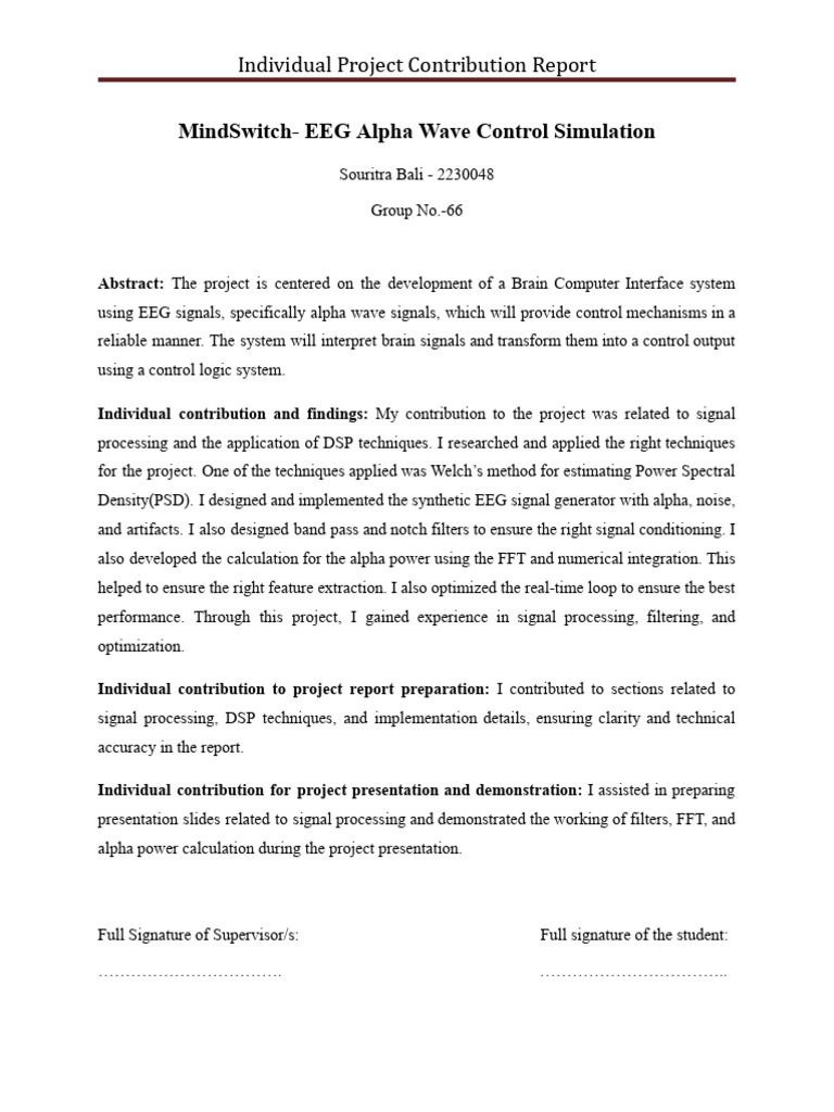 Souritra Individual Project Contribution Report - Google Docs | PDF