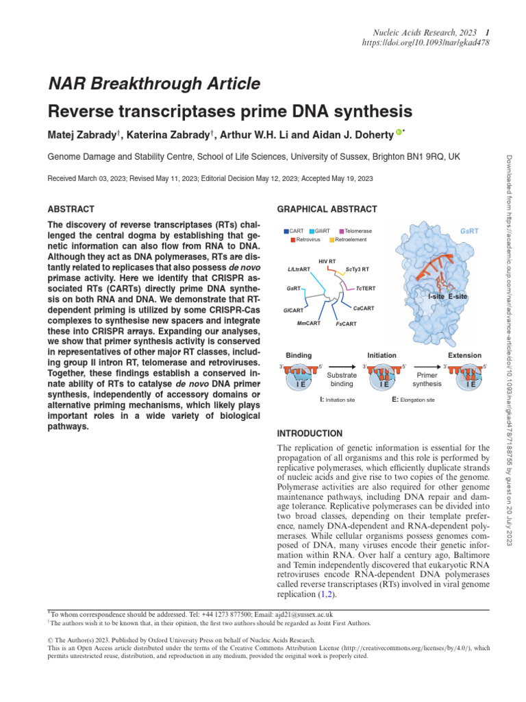 gkad478 | PDF | Reverse Transcriptase | Primer (Molecular Biology)