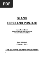 Download Urdu and Punjabi Slang by Azhar Munir SN102989596 doc pdf