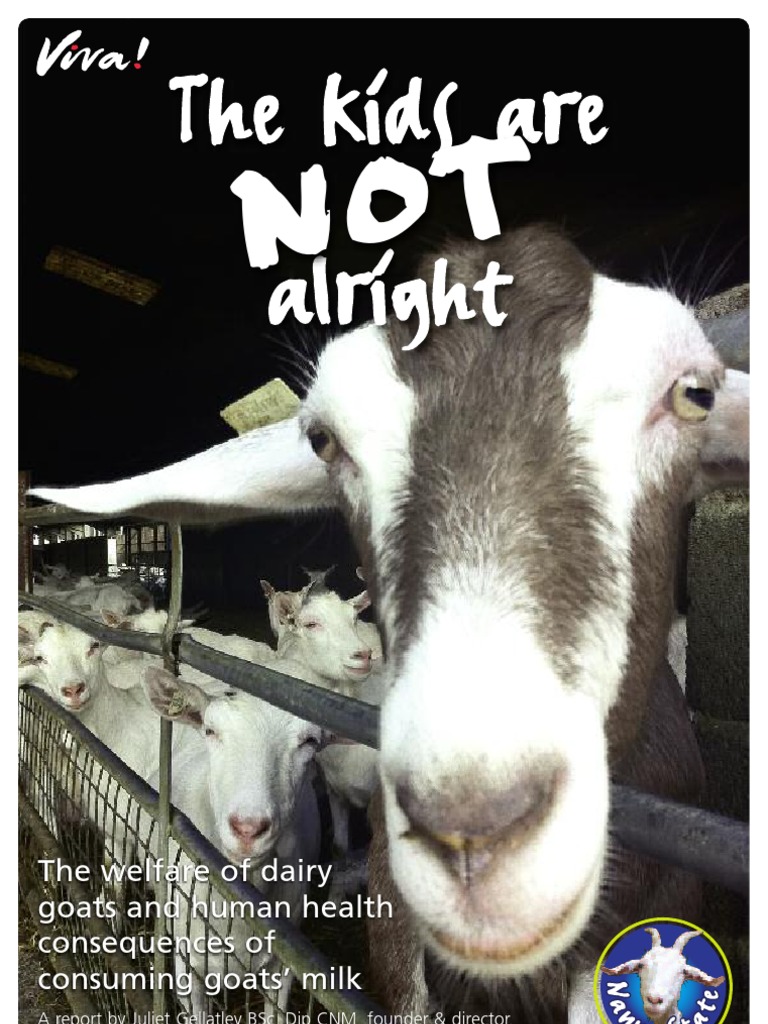 The Shocking Truth about Goats' Milk | Goat | Dairy Cattle