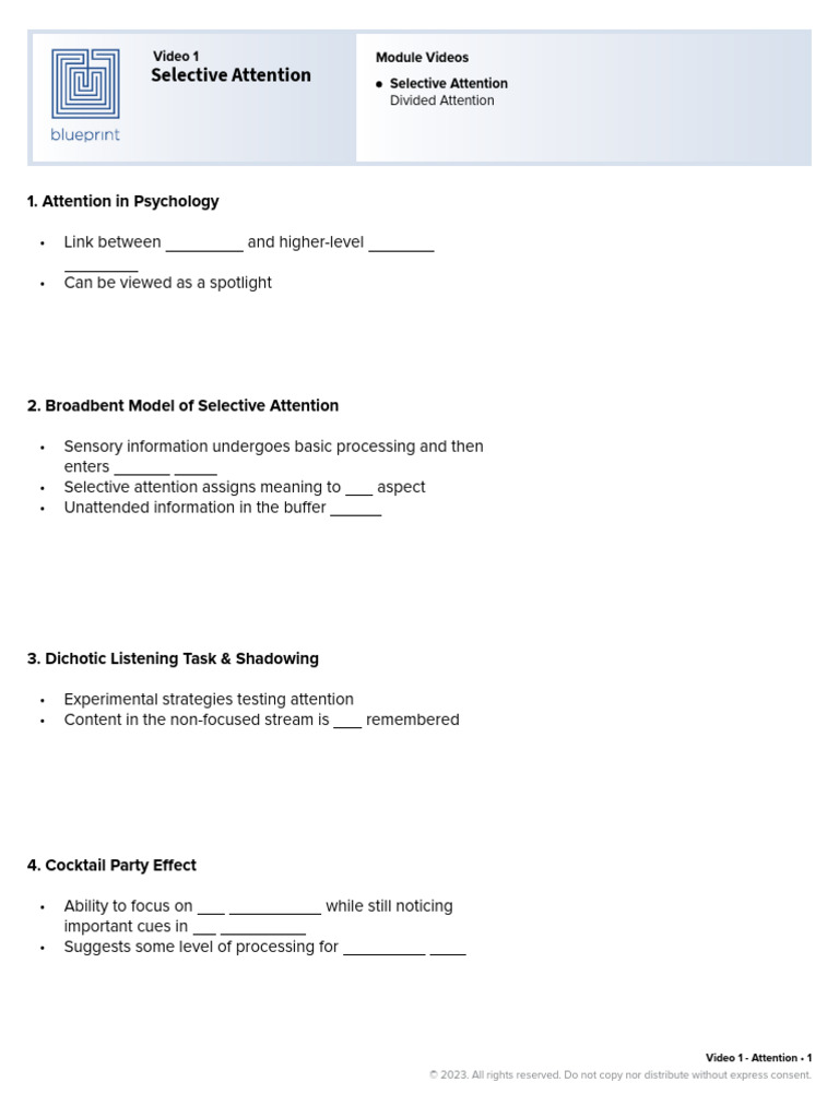 Selective Attention | PDF