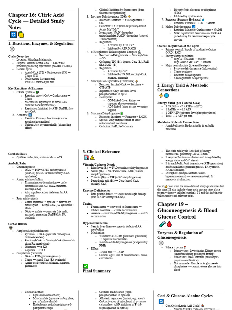 Chapter 16 Citric Acid Cycle | PDF | Citric Acid Cycle | Chemistry