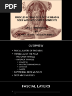 Suboccipital Triangle Anatomy Overview | PDF | Neck | Vertebra