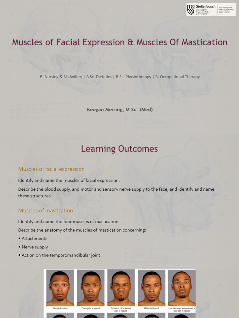 Muscles of Facial Expression Muscles of Mastication (2) | PDF ...