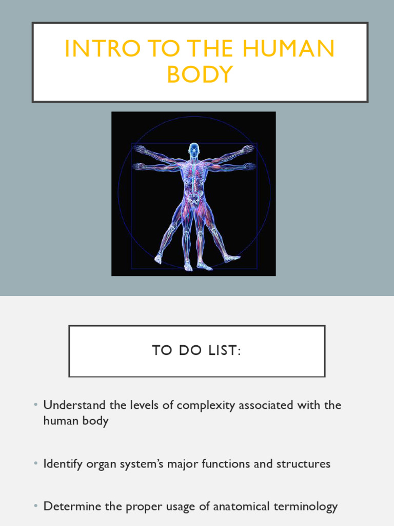AP1 Chapter1 Intro-To-Body OpenStaxAP2e - Tagged | PDF | Anatomical ...