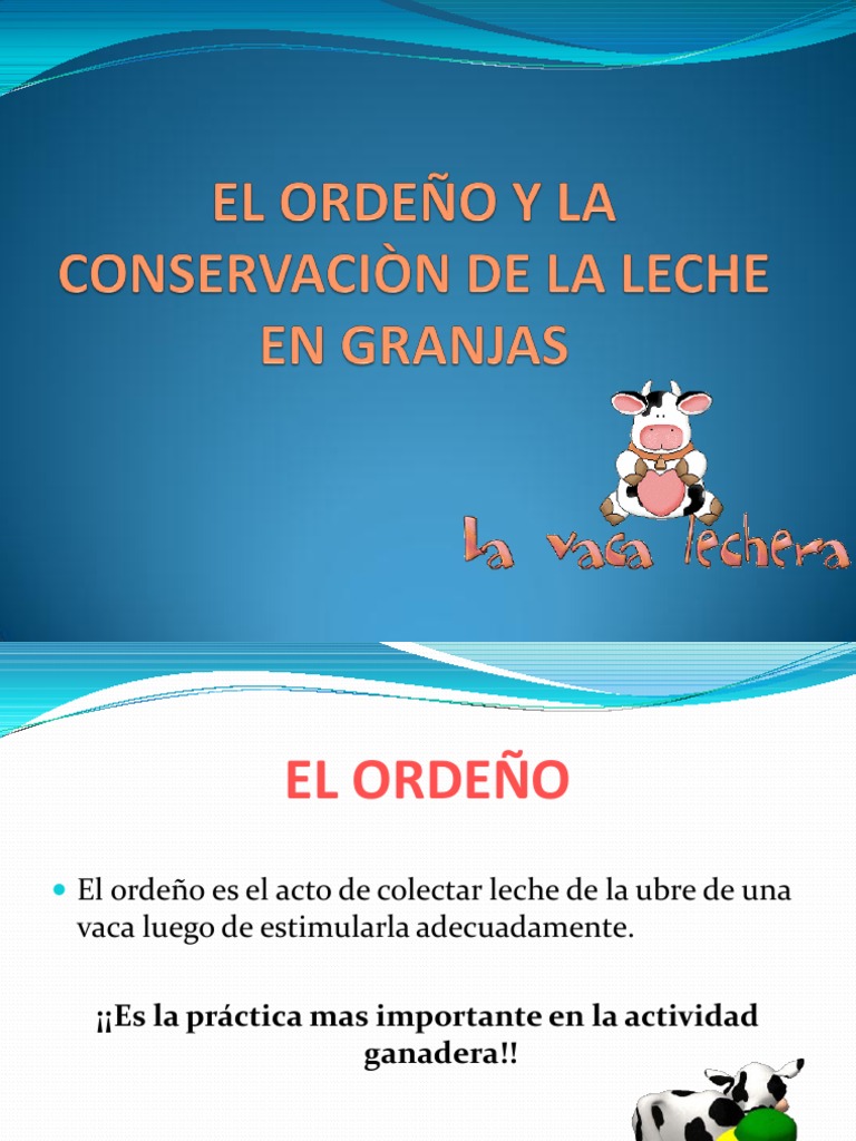 Proceso de Ordeño de Vacas | PDF | Leche | Vacas