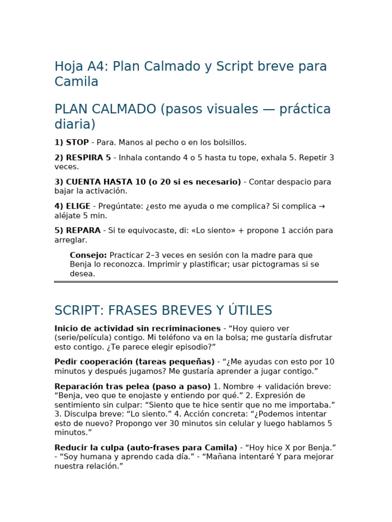 Hoja A4 - Plan Calmado Y Script para Camila | PDF