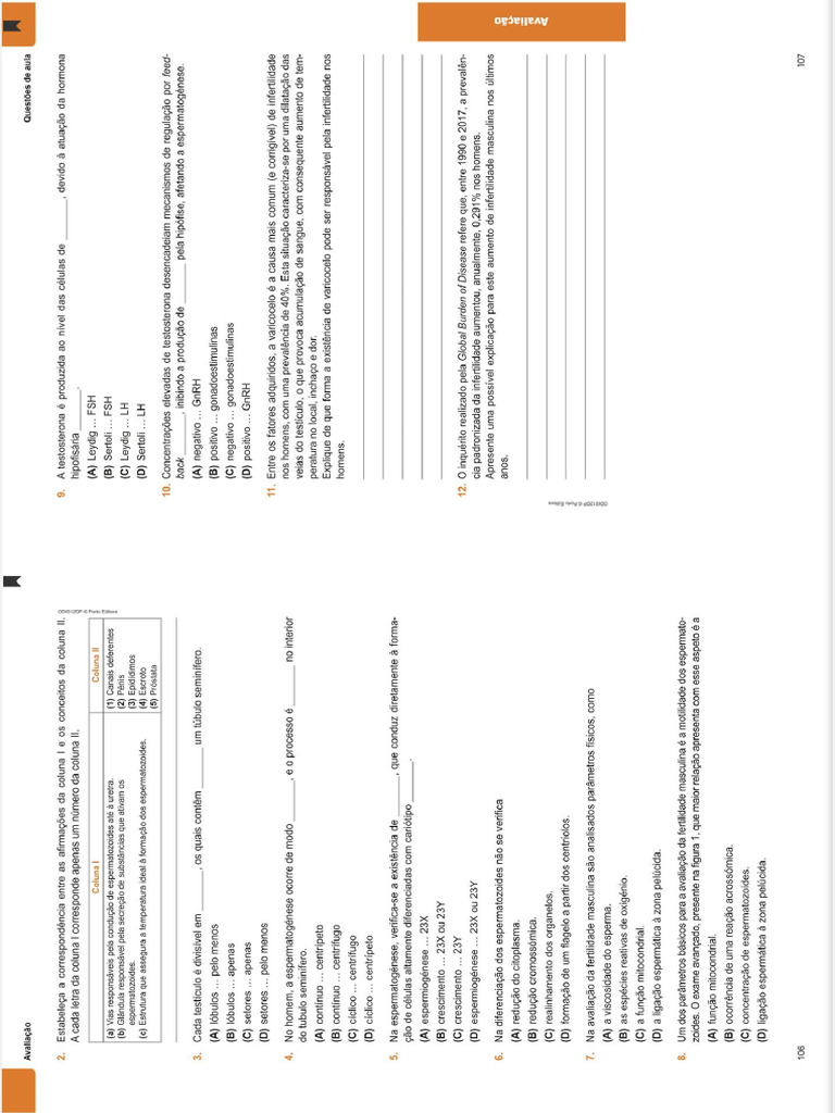 Pdf24 Converted | PDF