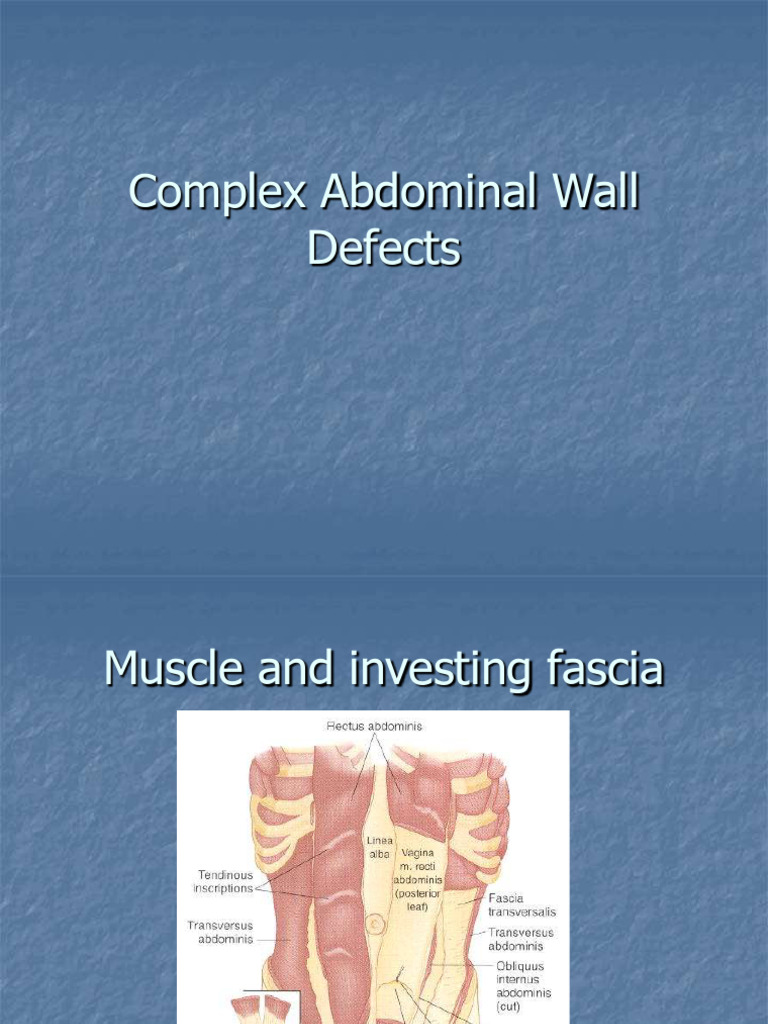 Abdominal wall reconstruction | PDF | Medical Specialties | Diseases ...