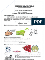 Modulo Celula 6°