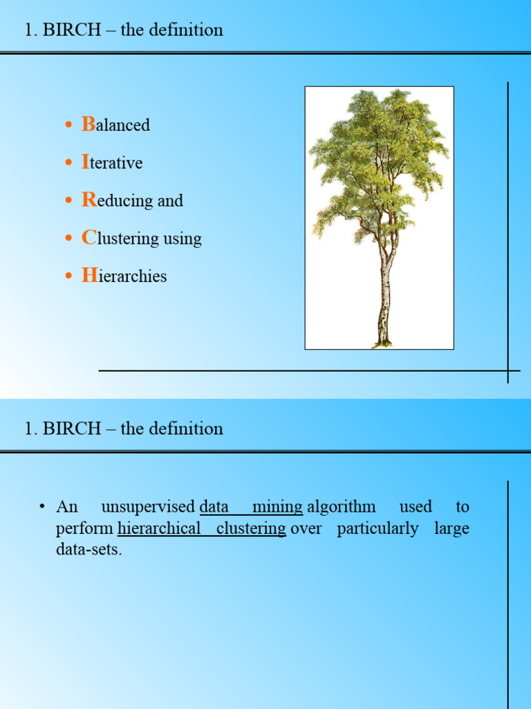 The BIRCH Algorithm | PDF | Cluster Analysis | Applied Mathematics