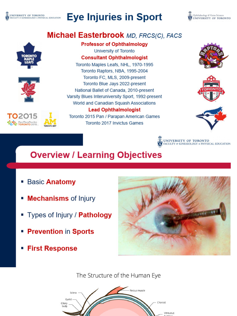 16 - Eye Injuries in Sport | PDF | Human Eye | Cornea