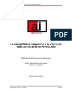 La Geoquimica Organica y El Ciclo de Vida de Un Activo Petrolero