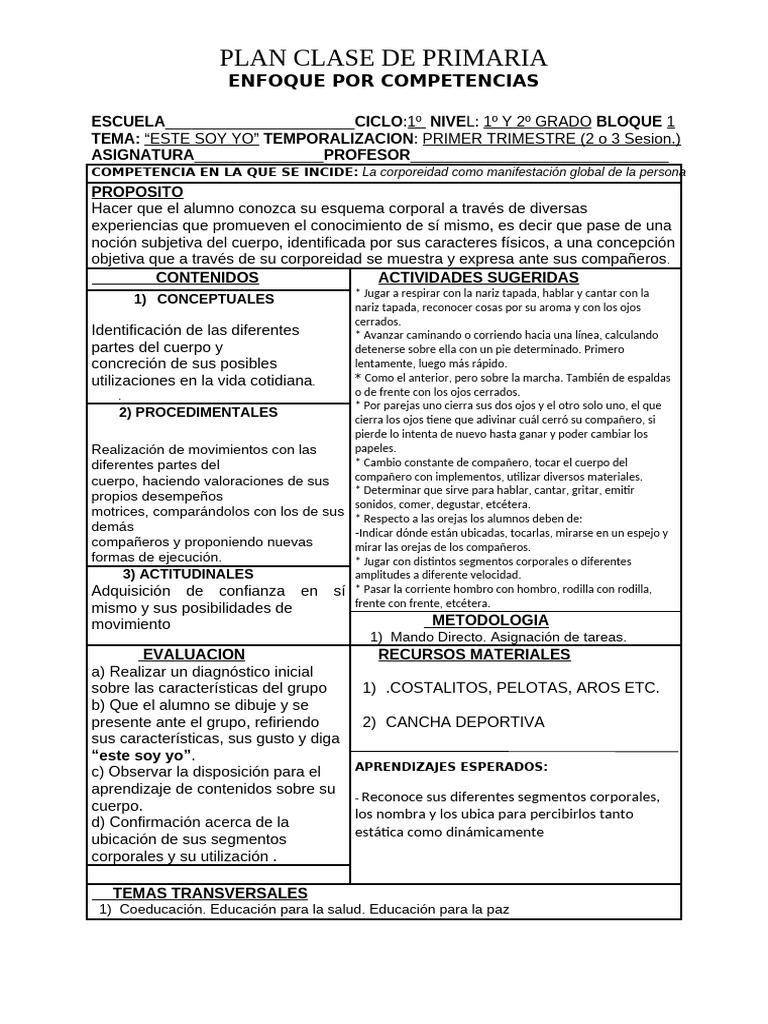 Planes de Clase 2009 Primaria | PDF | Evaluación | Aprendizaje