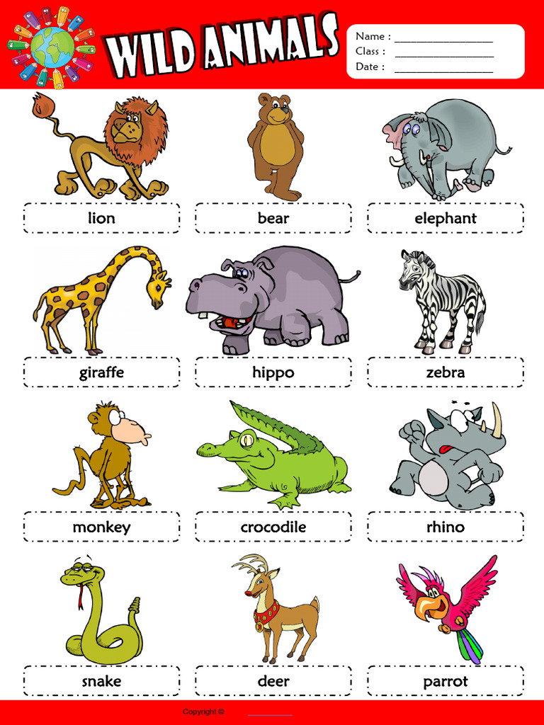 Wild Animals Esl Picture Dictionary for Kids | PDF