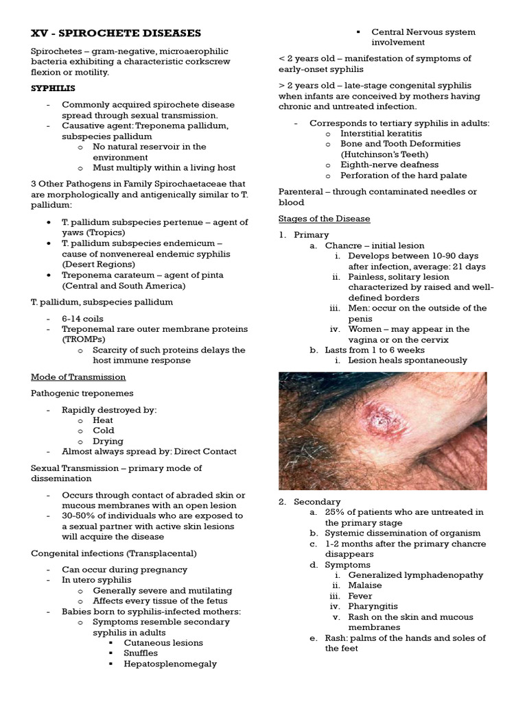 15 - Spirochete Diseases (1) | PDF | Lyme Disease | Elisa
