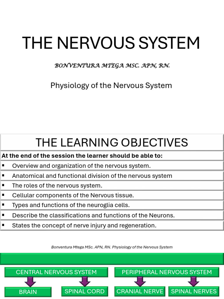 Unit 4. Physiology of the Nervous System | PDF | Central Nervous System ...