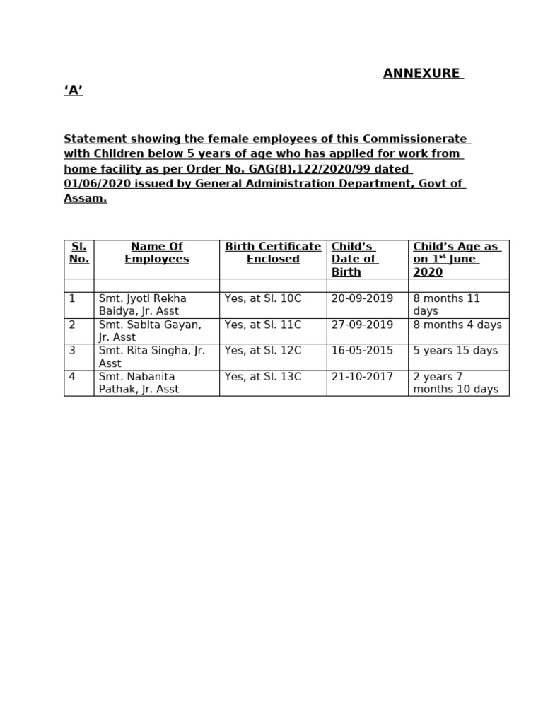 Statement Format | PDF