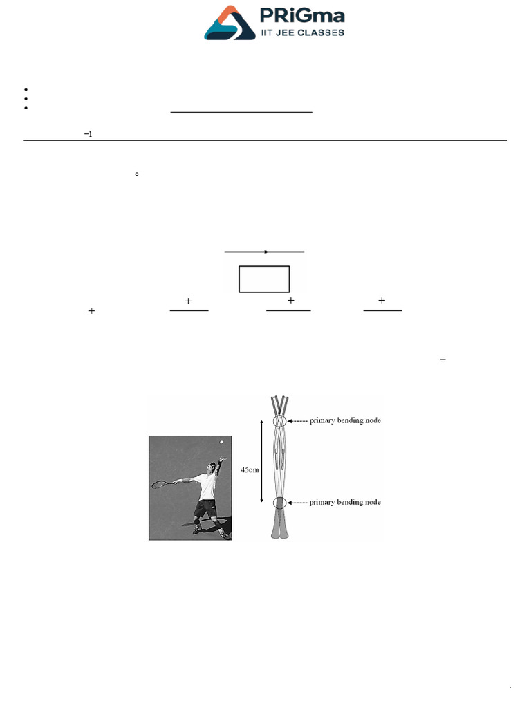 Physics Assignment Adv.-54 | PDF | Polarization (Waves) | Electrical ...