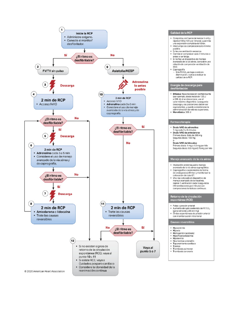 Acls Flashcard | PDF