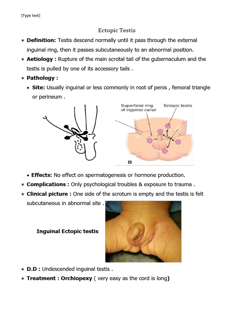 Surgery of Testis & Scrotum | PDF | Testicle | Vein