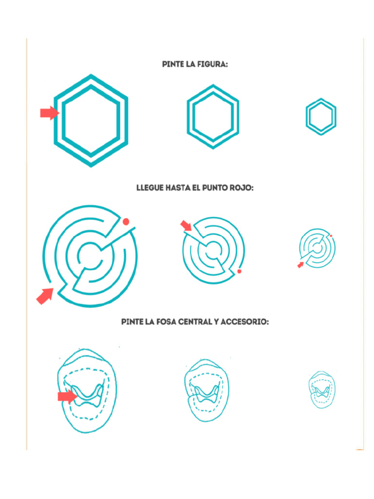 Vision Indirecta | PDF