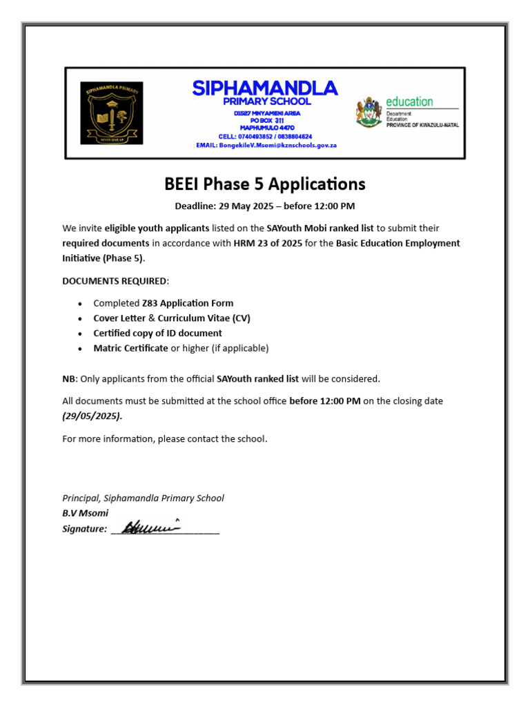 BEEI Phase 5 Applications | PDF