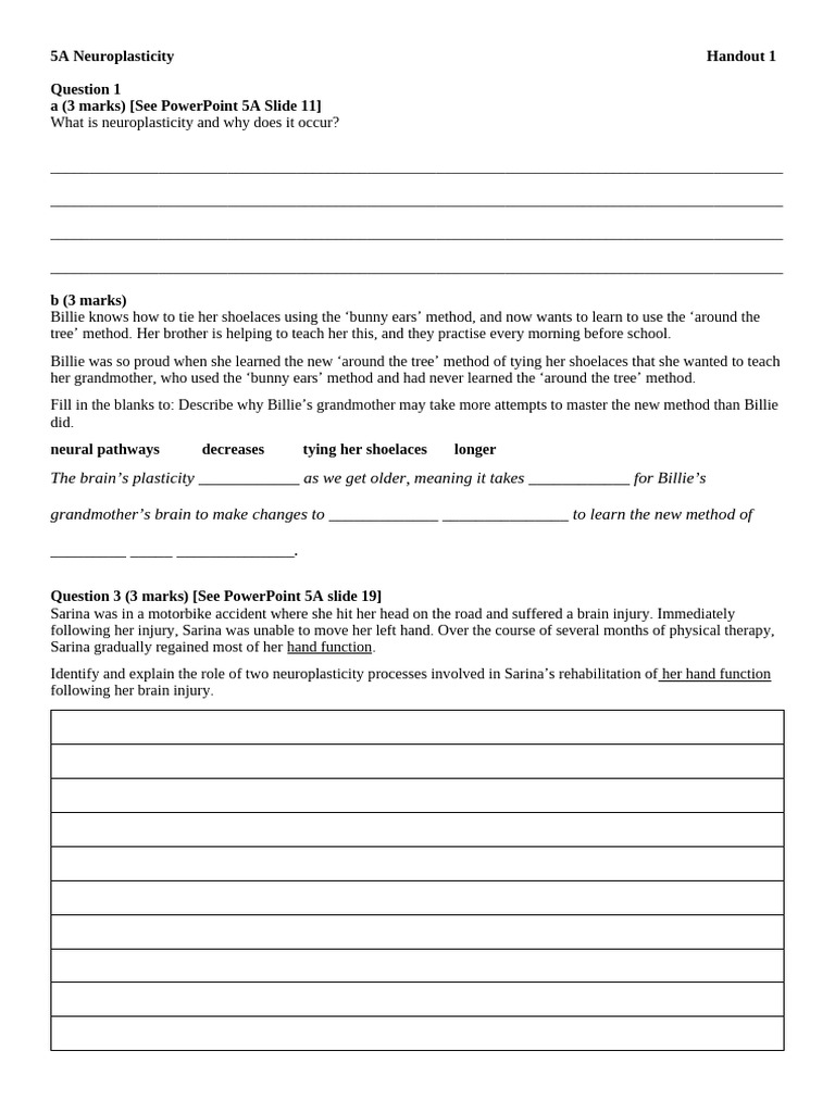 5A Neuroplasticity Handout 1 | PDF | Frontal Lobe | Neuroscience