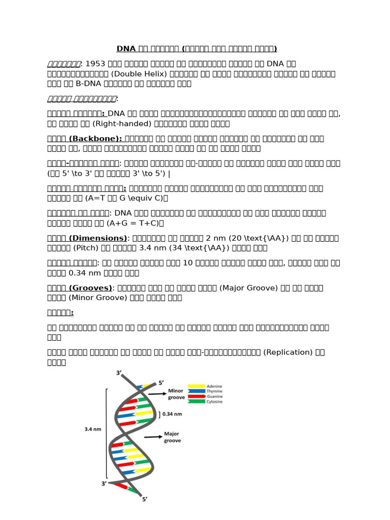 Document | PDF
