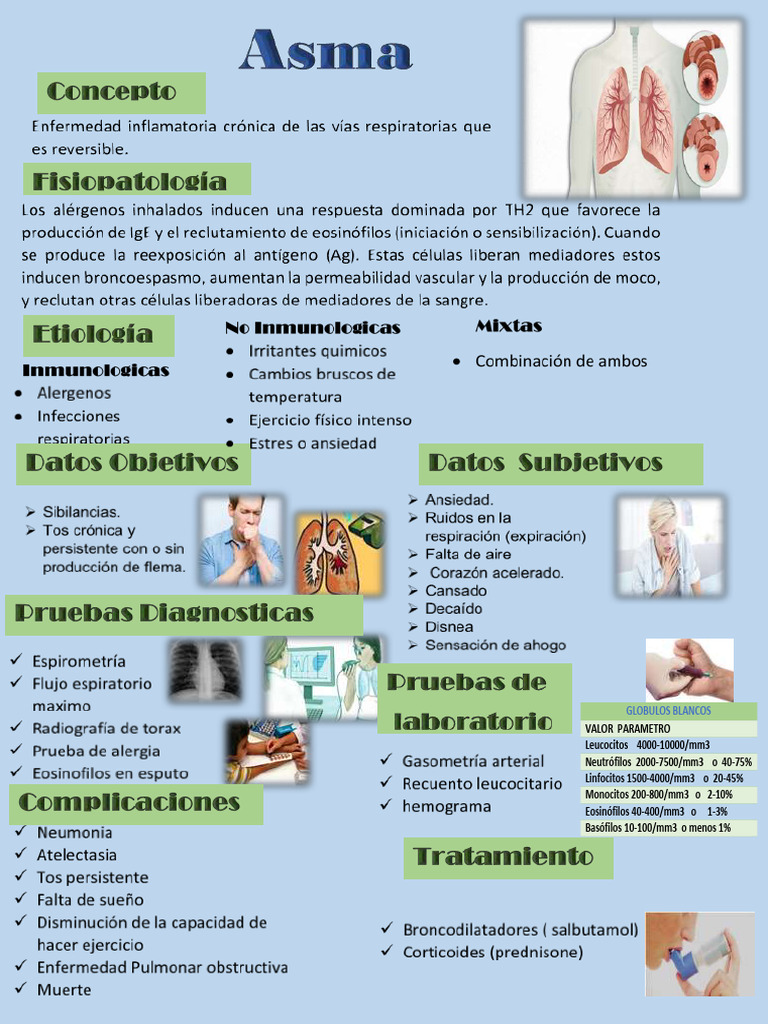 Infografia ASMA g | PDF