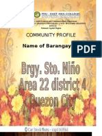 Community Profile: Name of Barangay