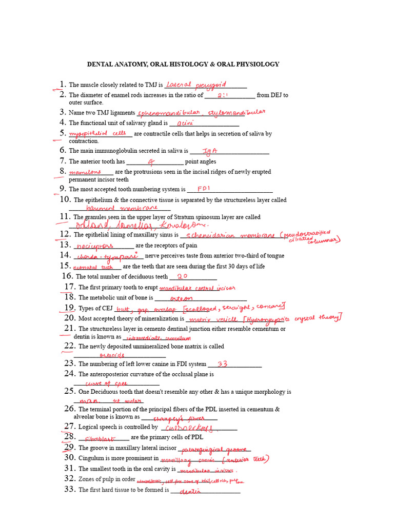 DA Questions | PDF | Dental Anatomy | Human Tooth