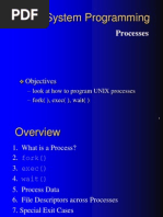 UNIX System Programming: Processes