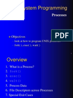 UNIX System Programming: Processes