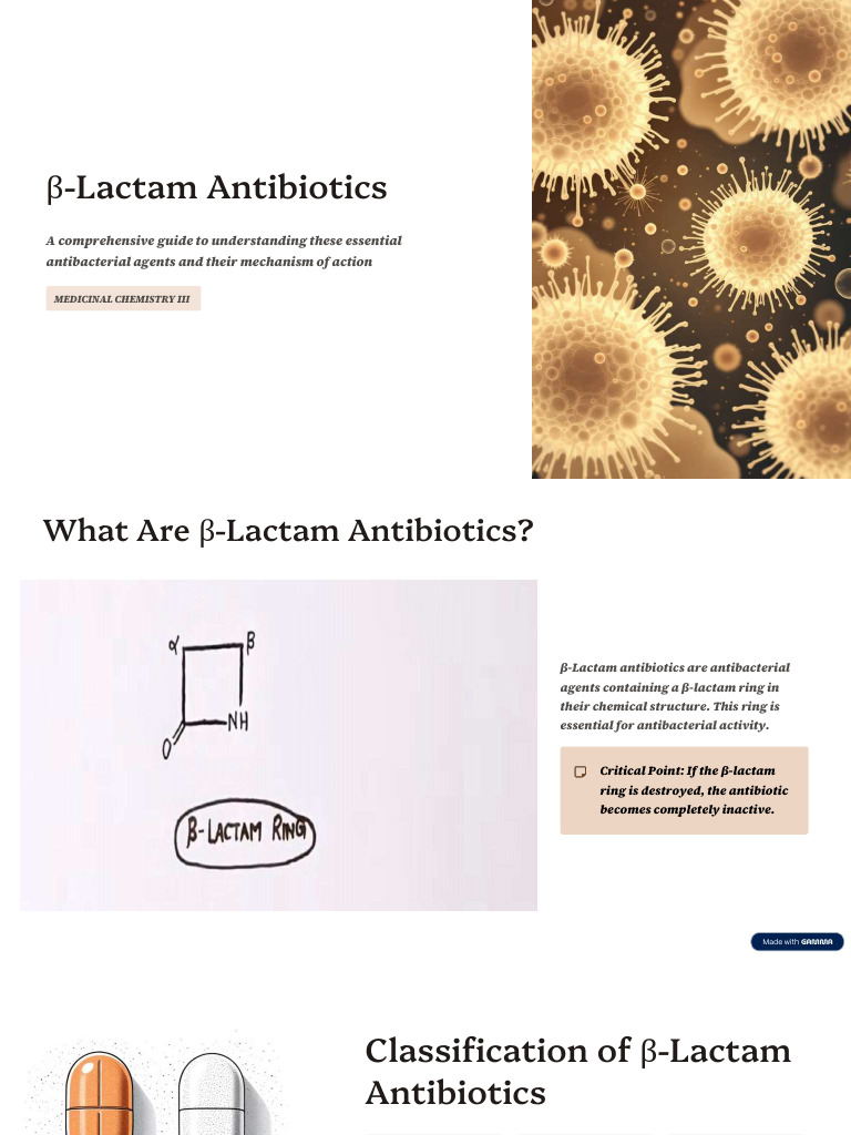 b-Lactam-Antibiotics (Autosaved) | PDF | Penicillin | Life Sciences