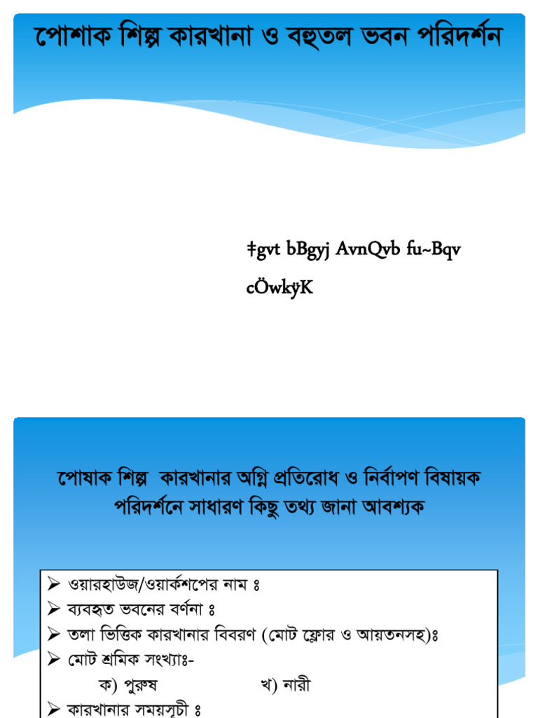 RMG Inspection System | PDF