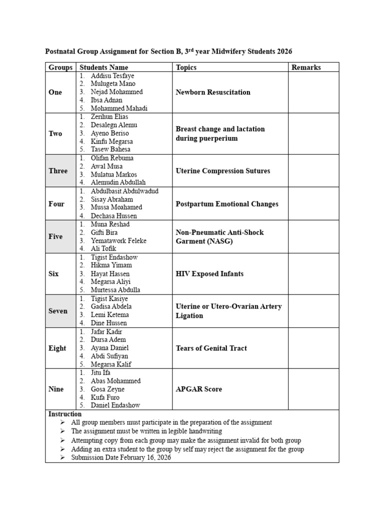 Group Assignments for Section B | PDF