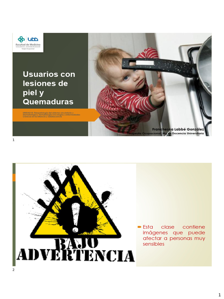 Usuarios Con Lesiones de Piel y Quemaduras - 2025 UDD - Estudiantes ...